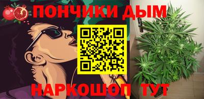 шишки Обнинск