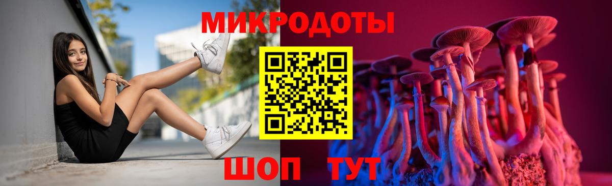 Галлюциногенные грибы прущие грибы  Вход с VPN  Геленджик 